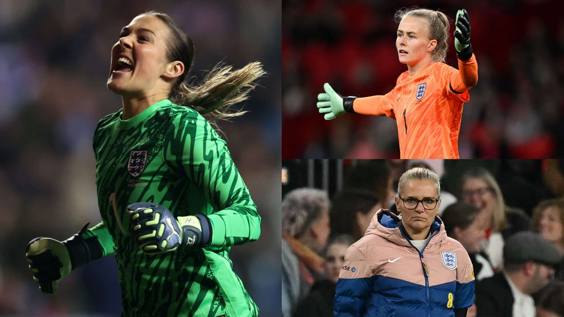 的多年深耕 的多年深耕